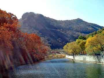 管家婆黑白马报图库，上海网络地板